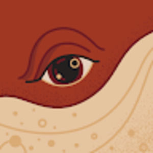 Meet your Posher, Lou